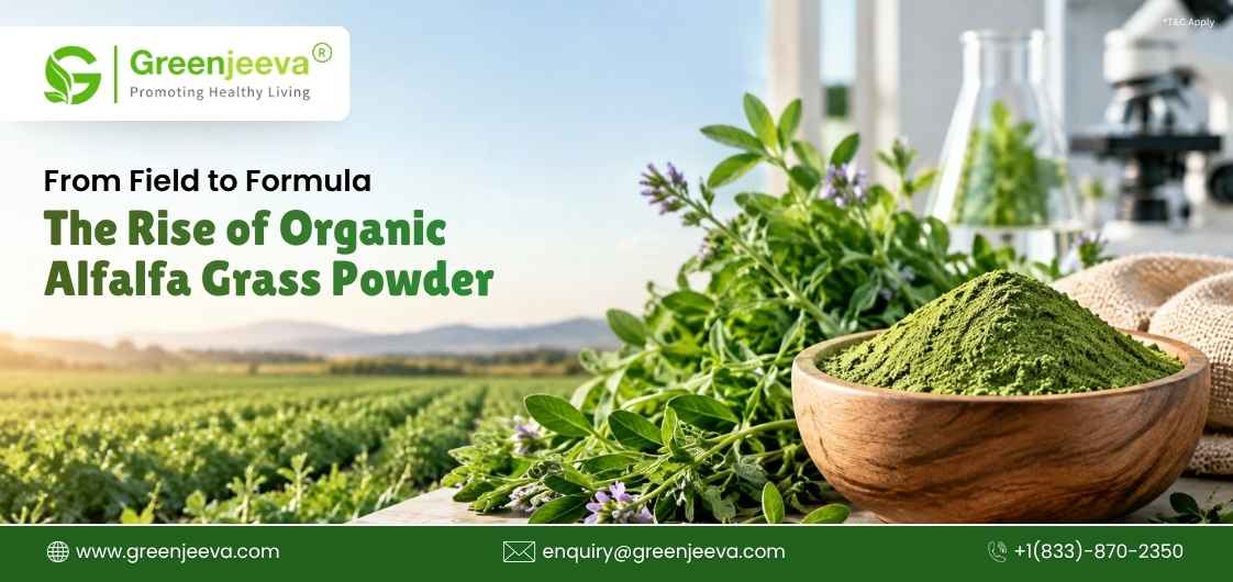 Move Over Spirulina: Why Alfalfa Grass Powder Is the Ingredient Formulators Are Quietly Betting On
